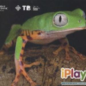 CSR - JARDIM I - iPlay 4 - Sudent's Book