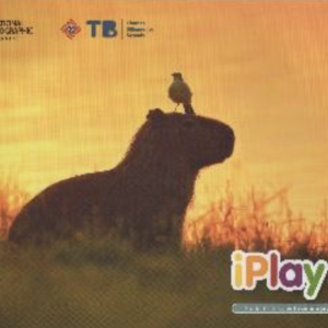 CSR - JARDIM II -  iPlay5 - Student's Book