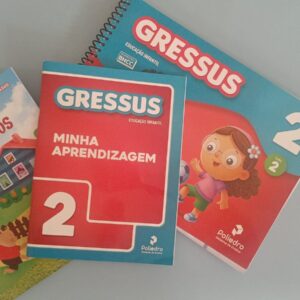 CSV - Mini Maternal 2 anos - Gressus