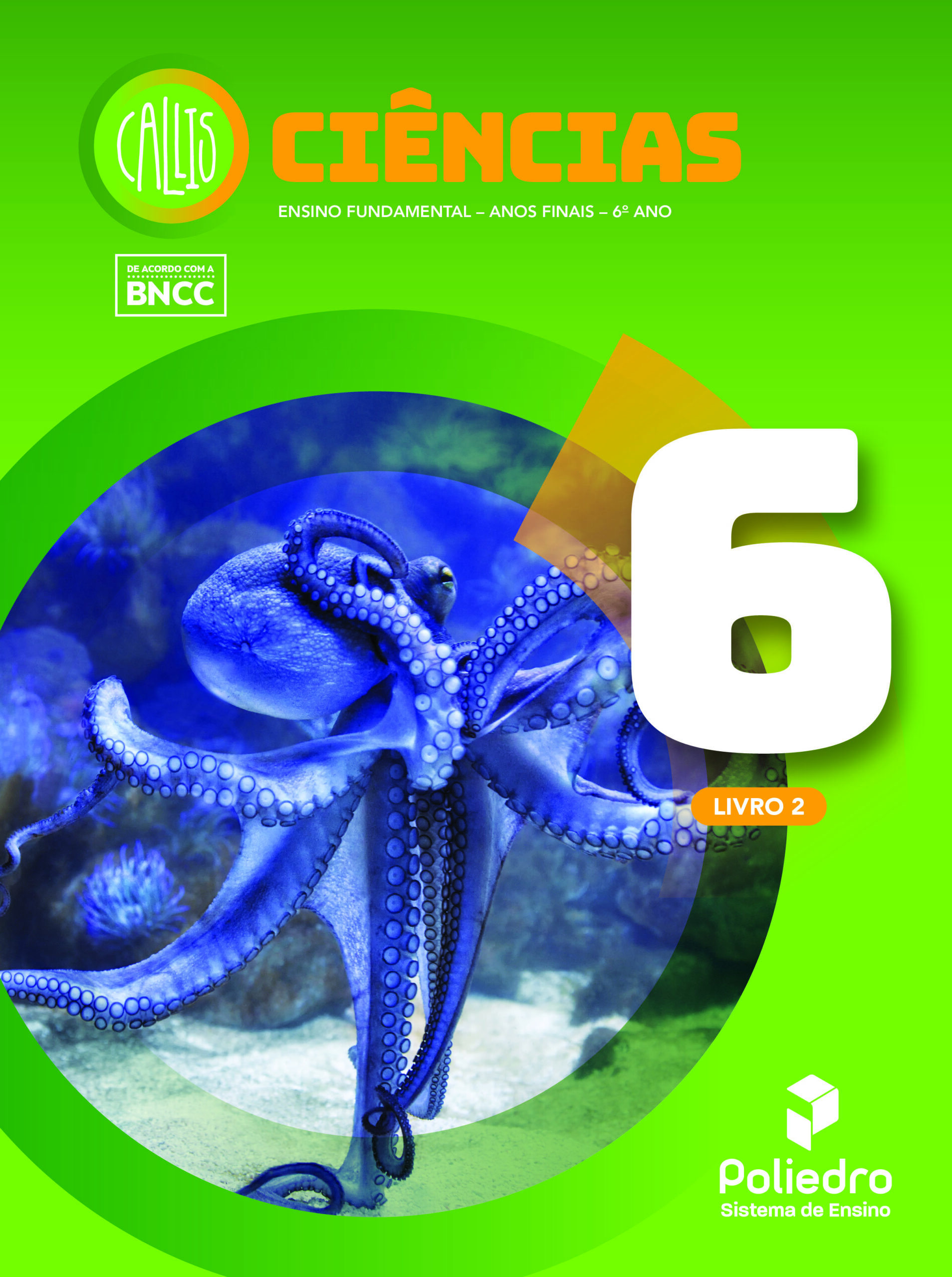 CSV- Ensino Fundamental Anos Finais - 6º ANO - Kit Completo - Imagem 2