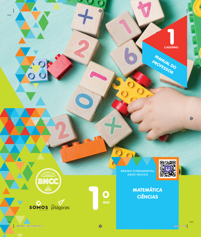 CEBNSA - Ensino Fundamental Anos Iniciais - 1º ANO - KIT PITÁGORAS - Imagem 2