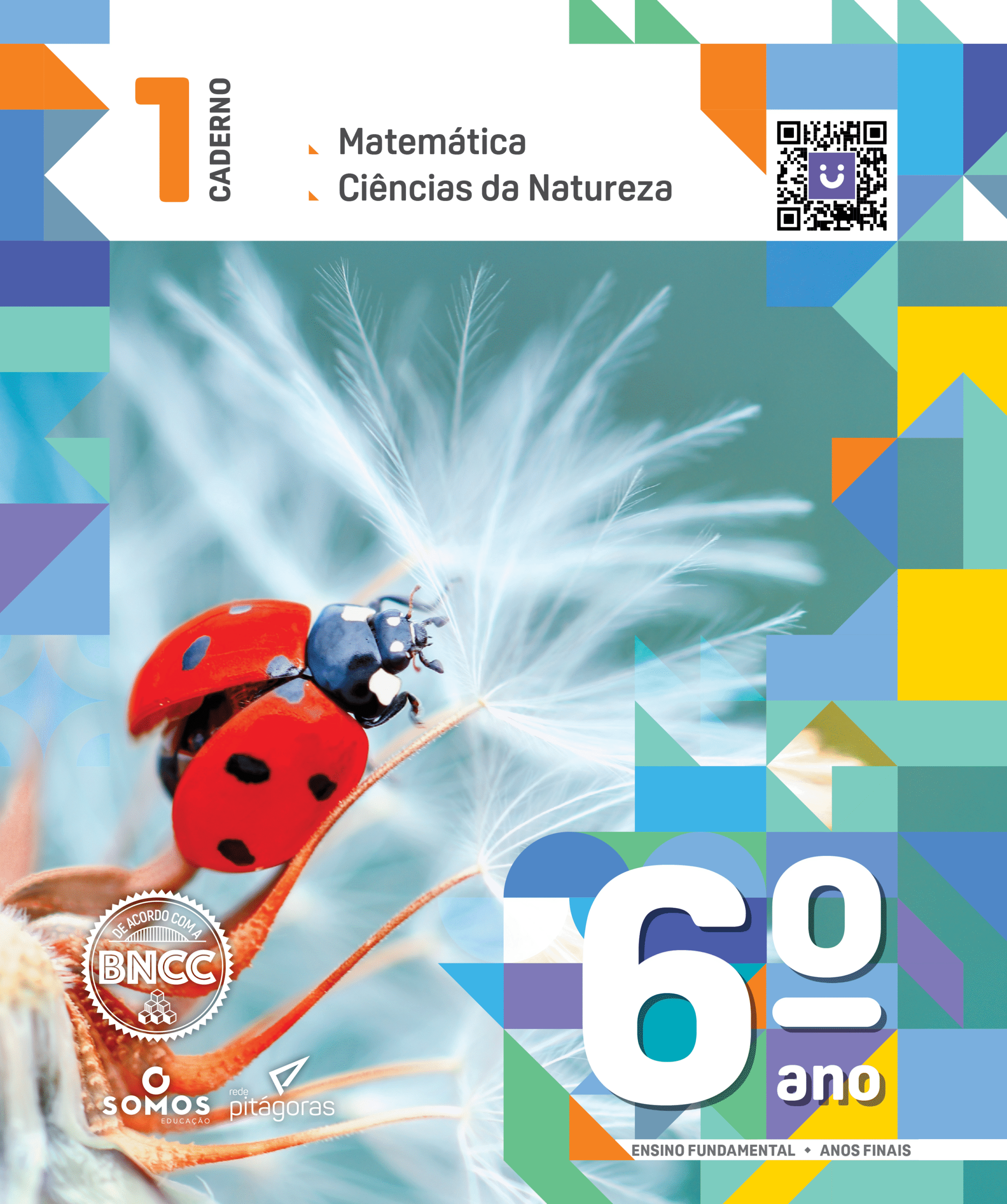 CEBNSA - Ensino Fundamental Anos Finais - 6º ANO - KIT PITÁGORAS - Imagem 4