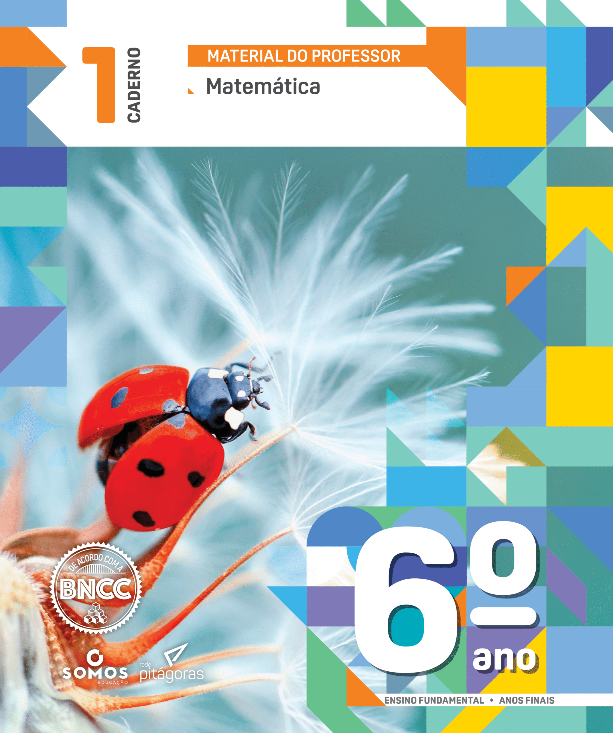 CEBNSA - Ensino Fundamental Anos Finais - 6º ANO - KIT PITÁGORAS